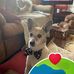 Connie Mccomb - Facebook