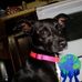 Connie McCombs - Facebook