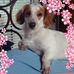 Connie Mccrary - Facebook