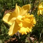 Connie McCraw - @mccrawconnie - Instagram