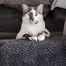 Connie McCray - Facebook