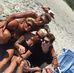 Connie McDevitt - Facebook