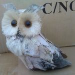 Connie McDowell - @connie.mcdowell.1650 - Instagram