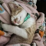Connie McDowell Winkle - @conniewinkle - Instagram