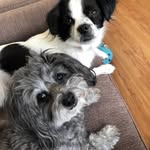 Connie McLeod - @shamrock273 - Instagram