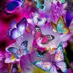 Connie McLeod Jolly - @jollyfarm1 - Instagram