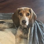 Connie McNally - @cmcnally9876 - Instagram