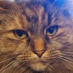 Connie Westphalen - @connie_michael_westphalen - Instagram