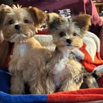 Connie N Mickey Early - @nonnie_early - Instagram