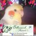 Connie Miles - Facebook