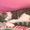 Connie.moon14 - @connie.moon14 - TikTok