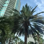 Connie Muncy - @muncy.connie - Instagram