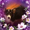 Connie Nation - @user4841375400528 - TikTok