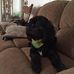 Connie Ogg - Facebook