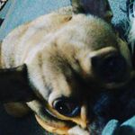 Connie Parker - @connie.parker.77920526 - Instagram