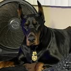 Connie Parker - Facebook