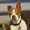 Connie Parker - @connie.parker49 - TikTok