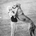 Connie Pate - Facebook