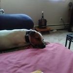Connie Pate - @conniepate12051949 - Instagram