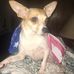 Connie Payne - Facebook