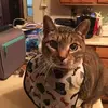 Connie Pearce - @connie.pearce5 - TikTok