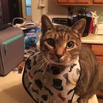 Connie Pearce - @mommie1964 - Instagram