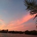 Connie Pearson - @connie.pearson.108 - Instagram