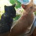 Connie Pedersen - Facebook