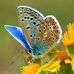 Connie Perry - Facebook