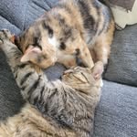 Connie Pratt - @conniepratt_53 - Instagram