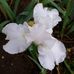 Connie Pratt - Facebook