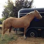 Connie Pratt - @cp196500 - Instagram