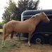 Connie Pratt - Facebook