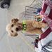 Connie Pullen - Facebook