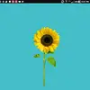 Connie Pulley - @connie.pulley - TikTok
