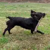 connie and raya - @connie.and.raya - TikTok