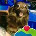 Connie Rayburn - Facebook