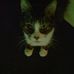 Connie Rayburn - Facebook