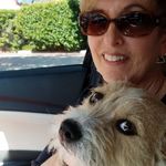 Connie Busbey Redmond - @connieredmond.design - Instagram