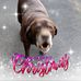 Connie Redmon - Facebook