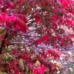 Connie Riggins - Facebook