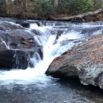 Connie Riggins - @connie_riggins - Instagram