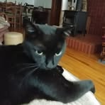 Connie Riggins - Facebook