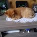 Connie Ritchie - Facebook