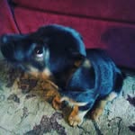 connie robbins - @connie_violet_ - Instagram