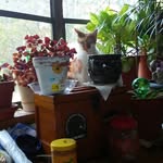 Connie Robbins - @connie.robbins.583 - Instagram