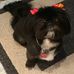 Connie Robbins - Facebook