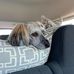 Connie Robbins - Facebook