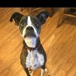 Connie Roth - @rothfencellc - Instagram