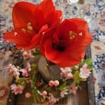 Connie Wilkins Ruff - @mzconnie23 - Instagram
